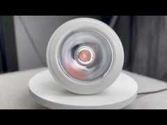 Светодиодные лампочки PAR30